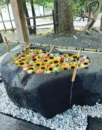 千歳神社の手水