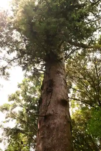 土佐神社(高知県)