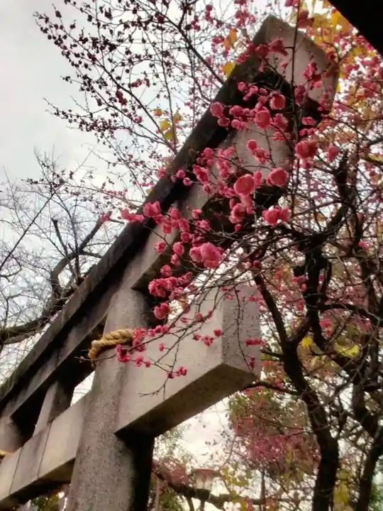 牛天神北野神社(東京都)