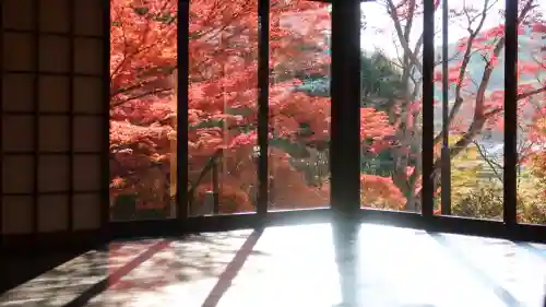 普門院（文知摺観音）の{uncategorized: "未分類", other: "その他", undefined: "問題あり", building: "その他建物", grave: "お墓", sacred_gate: "鳥居", guardian: "狛犬", statue: "像", buddha: "仏像", history: "歴史", nature: "自然", garden: "庭園", animal: "動物", pagoda: "塔", temizu: "手水舎", mountain_gate: "山門・神門", sanctuary: "本殿・本堂", subordinate: "末社・摂社", art: "芸術", scenery: "景色", jizo: "地蔵", ema: "絵馬", goshuin: "御朱印", omikuji: "おみくじ", items: "授与品その他", amulet: "お守り", goshuincho: "御朱印帳", eats: "食事", festival: "お祭り", votive_dance: "神楽", shichigosan: "七五三参", wedding: "結婚式", experience: "体験その他", initially: "初詣", around: "周辺", anti_infection: "感染症対策"}