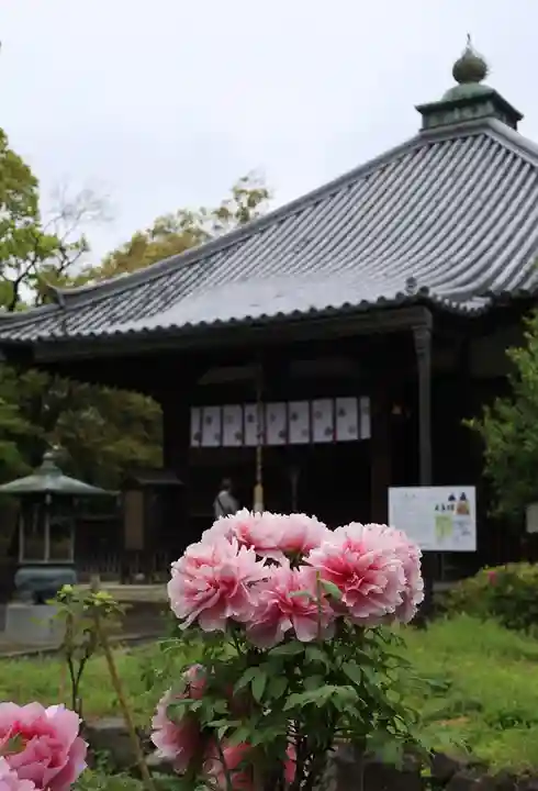 乙訓寺(京都府)