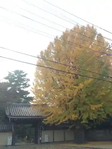 妙寿寺の山門