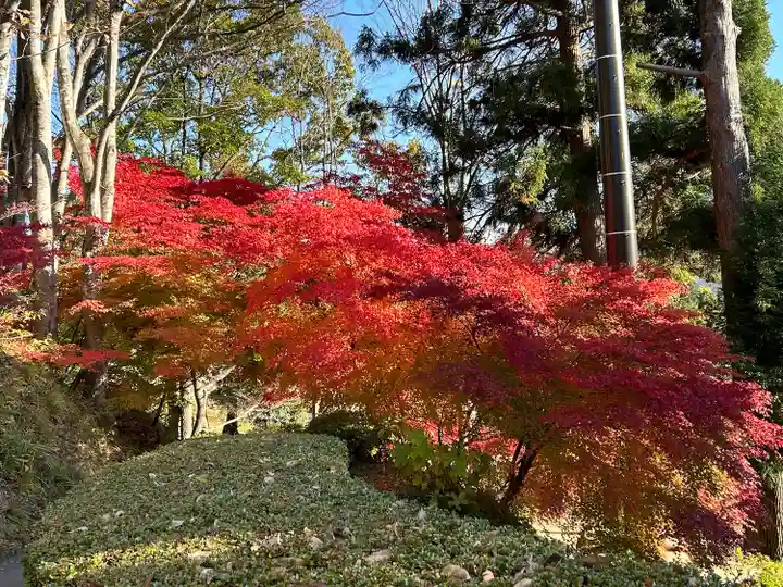 国宝 大法寺(長野県)