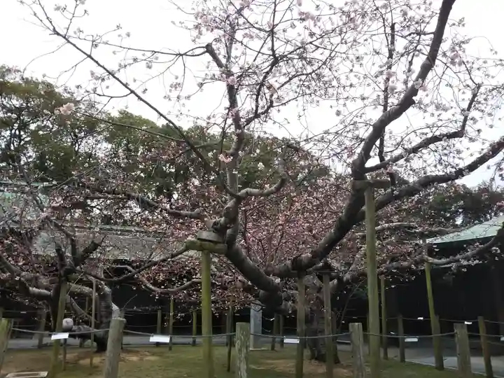 宮地嶽神社の自然