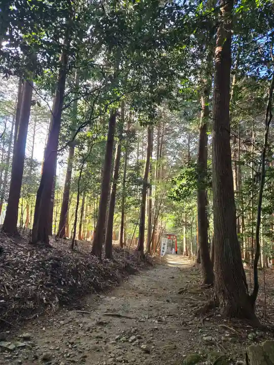 御蔭神社(京都府)
