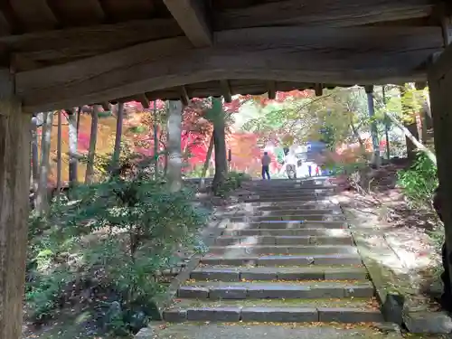 洞光寺(兵庫県)