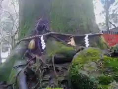 貴船神社奥宮の自然