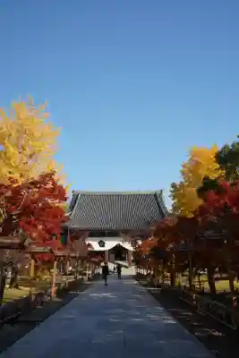  智積院(京都府)