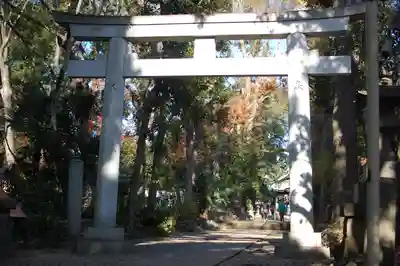 代々木八幡宮の鳥居