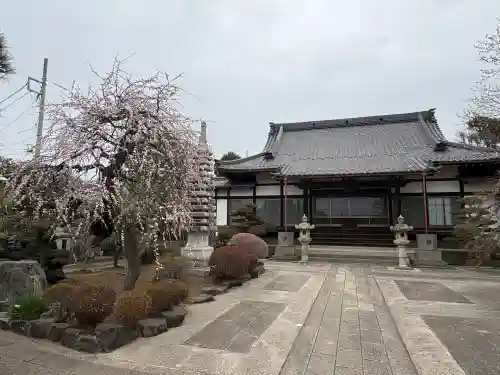 保寿院の{uncategorized: "未分類", other: "その他", undefined: "問題あり", building: "その他建物", grave: "お墓", sacred_gate: "鳥居", guardian: "狛犬", statue: "像", buddha: "仏像", history: "歴史", nature: "自然", garden: "庭園", animal: "動物", pagoda: "塔", temizu: "手水舎", mountain_gate: "山門・神門", sanctuary: "本殿・本堂", subordinate: "末社・摂社", art: "芸術", scenery: "景色", jizo: "地蔵", ema: "絵馬", goshuin: "御朱印", omikuji: "おみくじ", items: "授与品その他", amulet: "お守り", goshuincho: "御朱印帳", eats: "食事", festival: "お祭り", votive_dance: "神楽", shichigosan: "七五三参", wedding: "結婚式", experience: "体験その他", initially: "初詣", around: "周辺", anti_infection: "感染症対策"}