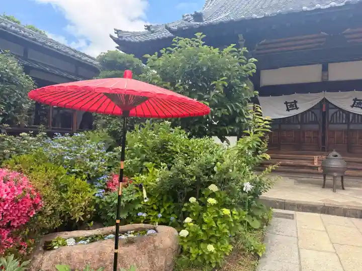 一乗寺の{uncategorized: "未分類", other: "その他", undefined: "問題あり", building: "その他建物", grave: "お墓", sacred_gate: "鳥居", guardian: "狛犬", statue: "像", buddha: "仏像", history: "歴史", nature: "自然", garden: "庭園", animal: "動物", pagoda: "塔", temizu: "手水舎", mountain_gate: "山門・神門", sanctuary: "本殿・本堂", subordinate: "末社・摂社", art: "芸術", scenery: "景色", jizo: "地蔵", ema: "絵馬", goshuin: "御朱印", omikuji: "おみくじ", items: "授与品その他", amulet: "お守り", goshuincho: "御朱印帳", eats: "食事", festival: "お祭り", votive_dance: "神楽", shichigosan: "七五三参", wedding: "結婚式", experience: "体験その他", initially: "初詣", around: "周辺", anti_infection: "感染症対策"}