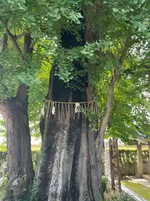 飛木稲荷神社(東京都)