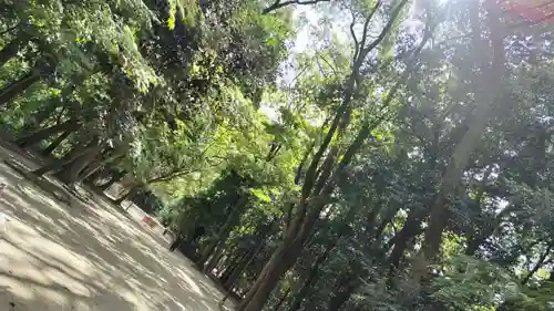 賀茂御祖神社（下鴨神社）(京都府)