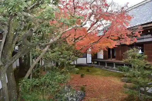 仁和寺の庭園