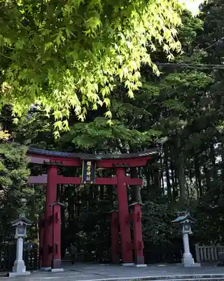 彌彦神社(新潟県)