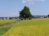 白鳥神社(富山県)