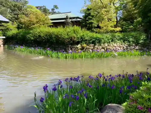 西宮神社の庭園