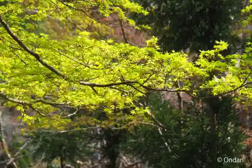 神護寺(京都府)