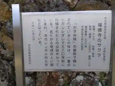 福徳寺(京都府)