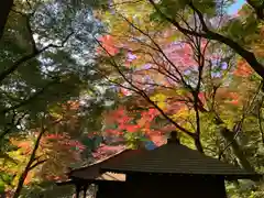 普門寺(切り絵御朱印発祥の寺)の自然