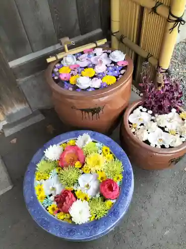 多賀神社の手水舎