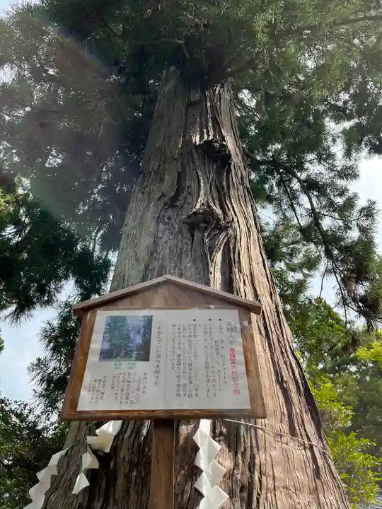 涼ケ岡八幡神社(福島県)