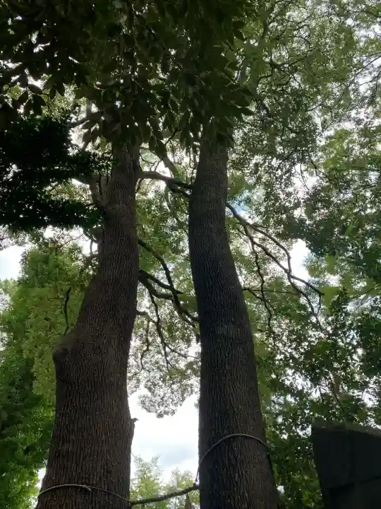 飯玉神社(群馬県)