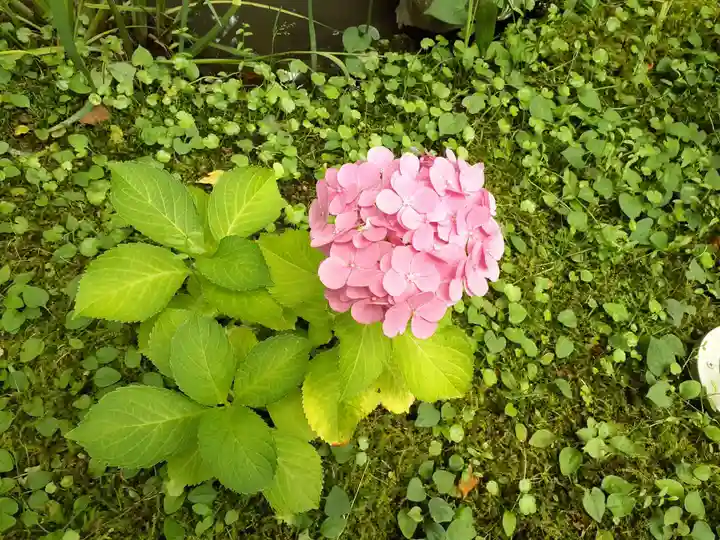 花巻神社(岩手県)