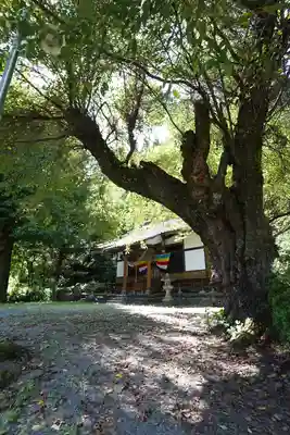 瀧澤神社(岩手県)