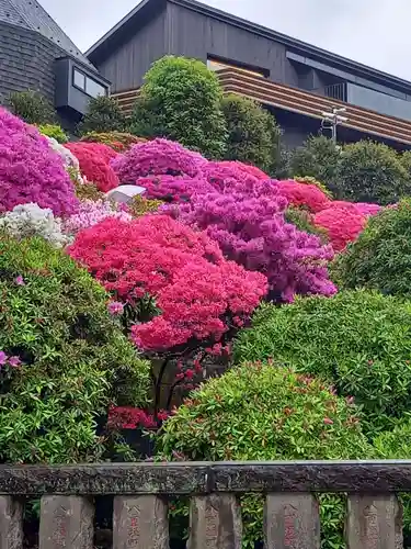 根津神社(東京都)