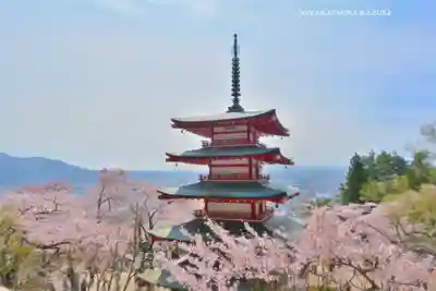 新倉富士浅間神社(山梨県)