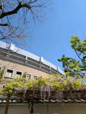 素盞嗚神社の{uncategorized: "未分類", other: "その他", undefined: "問題あり", building: "その他建物", grave: "お墓", sacred_gate: "鳥居", guardian: "狛犬", statue: "像", buddha: "仏像", history: "歴史", nature: "自然", garden: "庭園", animal: "動物", pagoda: "塔", temizu: "手水舎", mountain_gate: "山門・神門", sanctuary: "本殿・本堂", subordinate: "末社・摂社", art: "芸術", scenery: "景色", jizo: "地蔵", ema: "絵馬", goshuin: "御朱印", omikuji: "おみくじ", items: "授与品その他", amulet: "お守り", goshuincho: "御朱印帳", eats: "食事", festival: "お祭り", votive_dance: "神楽", shichigosan: "七五三参", wedding: "結婚式", experience: "体験その他", initially: "初詣", around: "周辺", anti_infection: "感染症対策"}