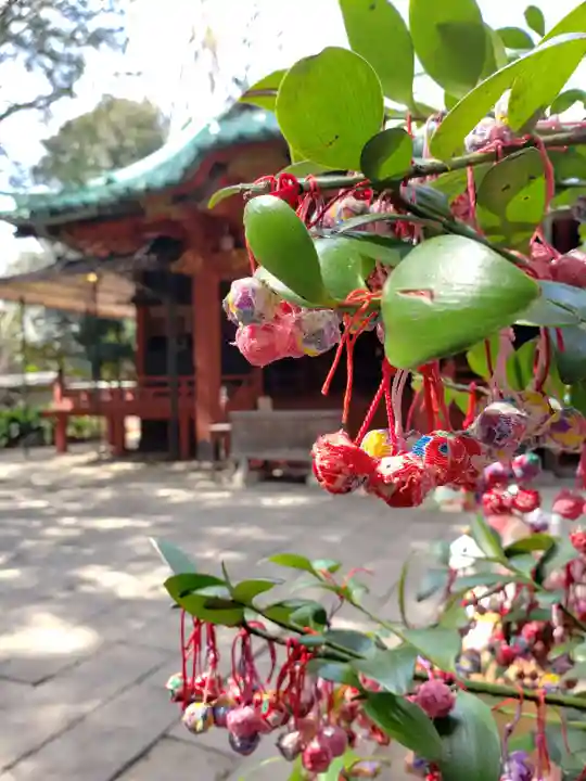 赤坂氷川神社(東京都)