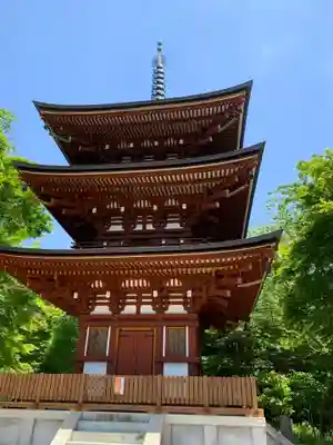 岡寺(龍蓋寺)(奈良県)