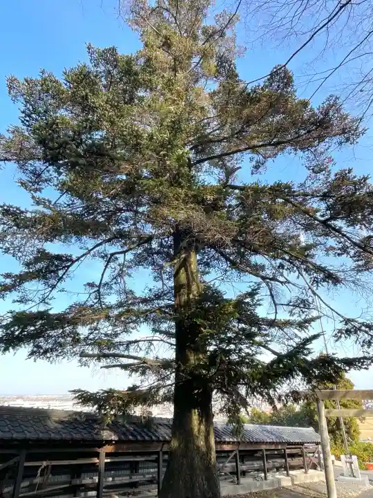 松山諏訪神社(岐阜県)