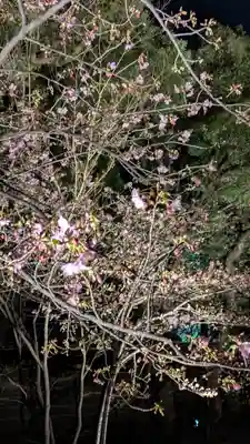 東寺（教王護国寺）(京都府)