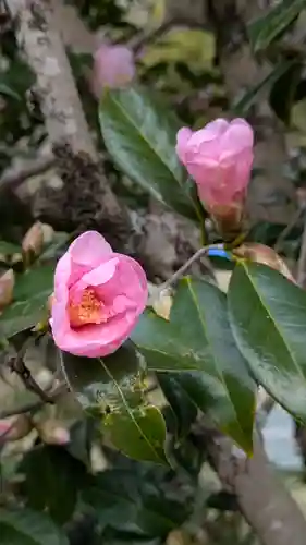 惠心院（恵心院）(京都府)