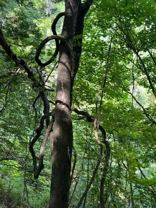 三峯神社奥宮(埼玉県)