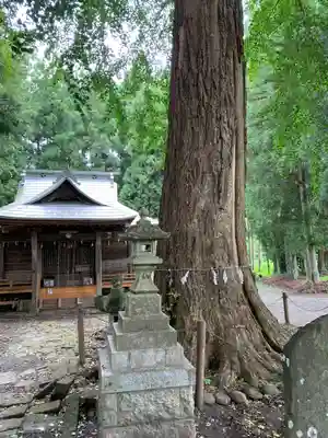戸隠神社の自然