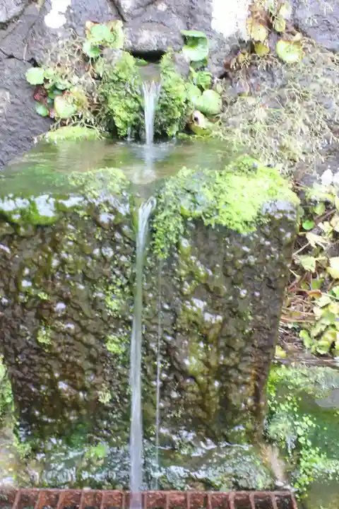 鼬幣稲荷神社の手水舎