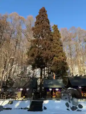 高宮神社(北海道)