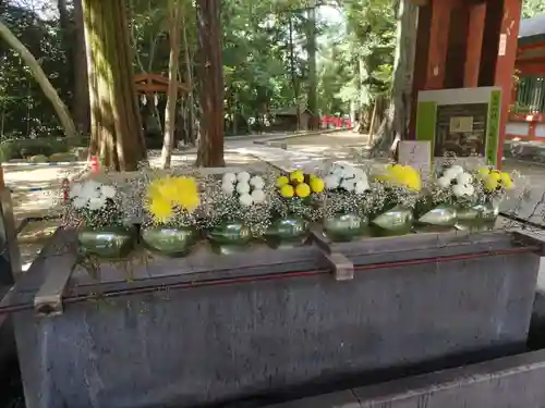 武蔵一宮氷川神社の手水