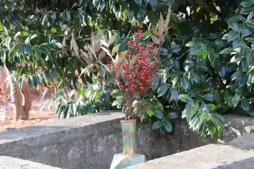 開成山大神宮の手水