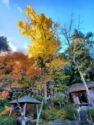 上合寺(福島県)
