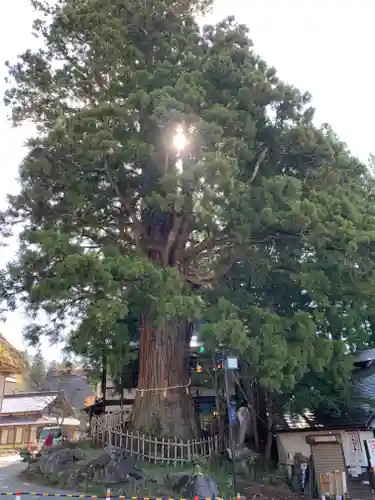 戸隠神社中社の周辺