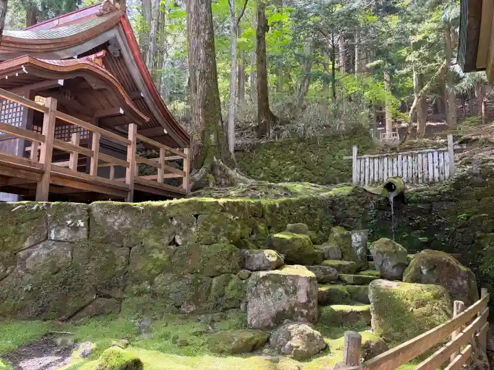 諏訪大社の{uncategorized: "未分類", other: "その他", undefined: "問題あり", building: "その他建物", grave: "お墓", sacred_gate: "鳥居", guardian: "狛犬", statue: "像", buddha: "仏像", history: "歴史", nature: "自然", garden: "庭園", animal: "動物", pagoda: "塔", temizu: "手水舎", mountain_gate: "山門・神門", sanctuary: "本殿・本堂", subordinate: "末社・摂社", art: "芸術", scenery: "景色", jizo: "地蔵", ema: "絵馬", goshuin: "御朱印", omikuji: "おみくじ", items: "授与品その他", amulet: "お守り", goshuincho: "御朱印帳", eats: "食事", festival: "お祭り", votive_dance: "神楽", shichigosan: "七五三参", wedding: "結婚式", experience: "体験その他", initially: "初詣", around: "周辺", anti_infection: "感染症対策"}