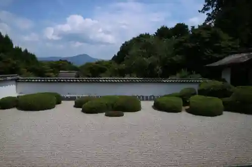 正伝護国禅寺(正伝寺･正傳寺)(京都府)