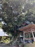 宝善寺(千葉県)