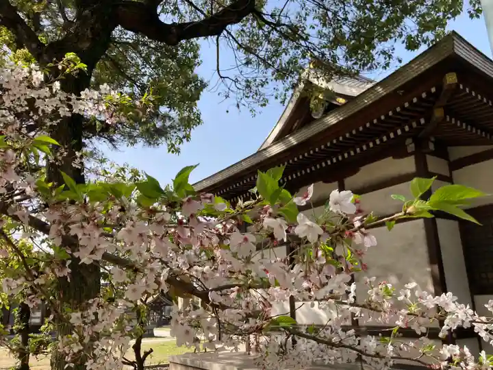 住吉神社のその他建物