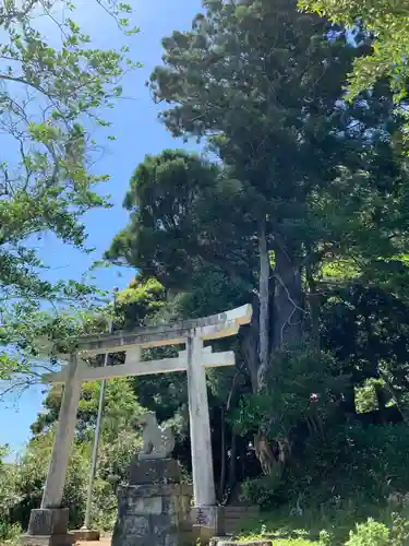 八雲神社の鳥居